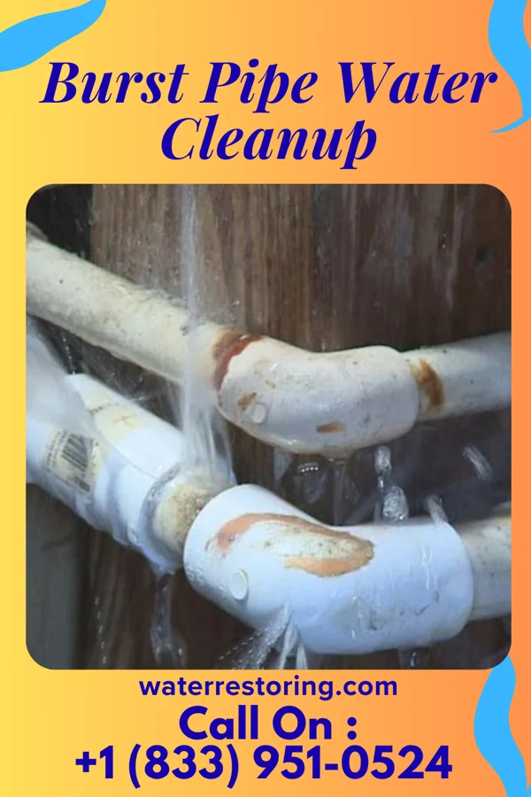 Burst Pipe Water Cleanup in Liberty, UT