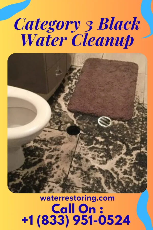 Category 3 Black Water Cleanup in Liberty, UT