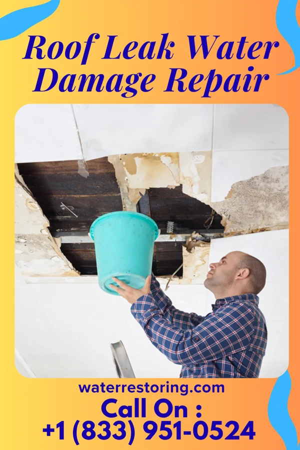 Roof Leak Water Damage Repair in Liberty, UT